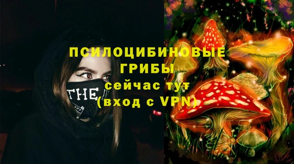 дмт Михайлов