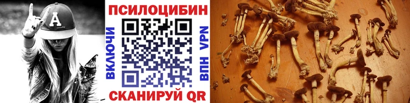 Галлюциногенные грибы мицелий  Купить закладки  Котельниково 