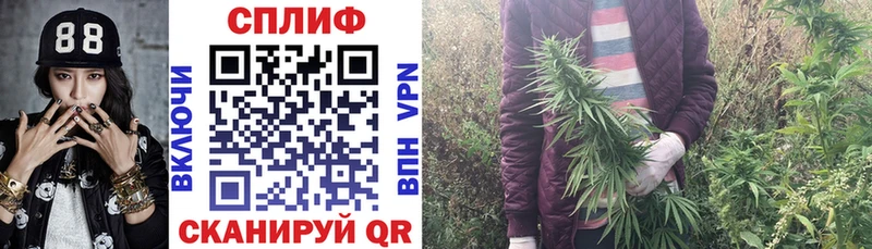 Купить закладки Котельниково Конопля тримм